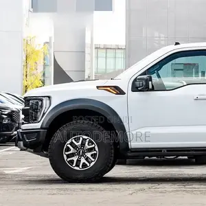 F-150 Raptor 2022 Fender Molding Led Type