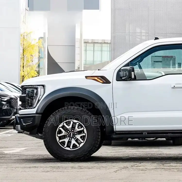 F-150 Raptor 2022 Fender Molding Led Type