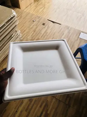 Biodegradable Disposable Paper Plates (Square)