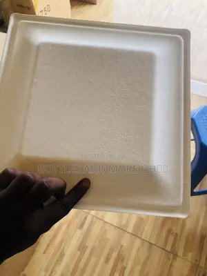 Biodegradable Disposable Paper Plates (Square)