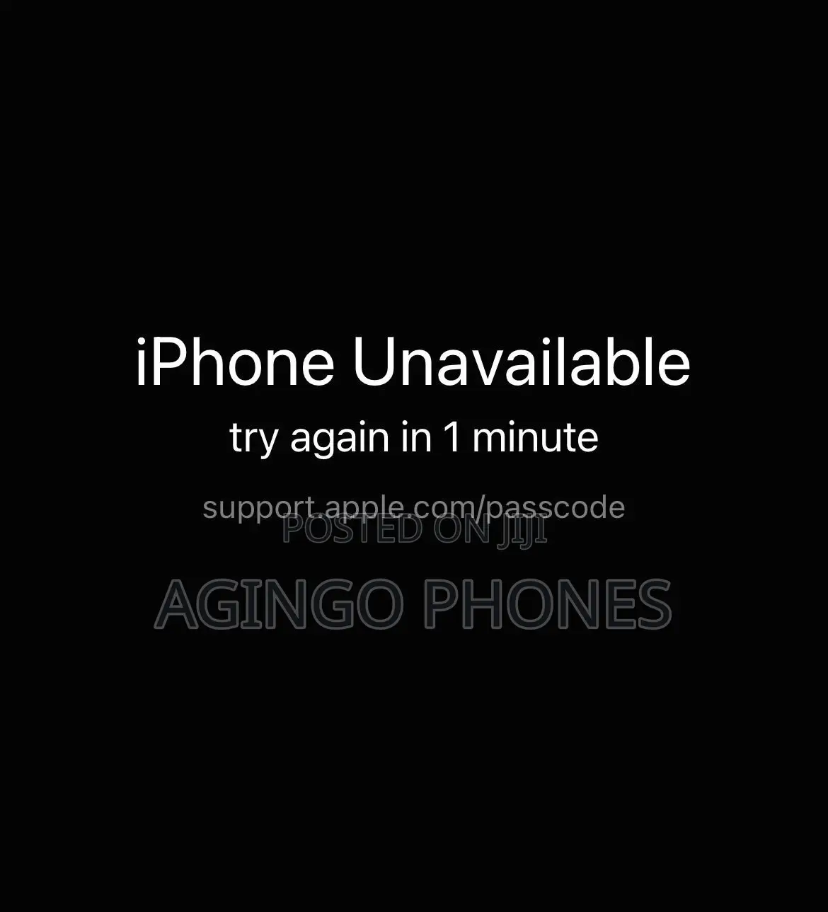 iPhone Passcode Bypass