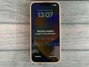 iPhone Passcode Bypass
