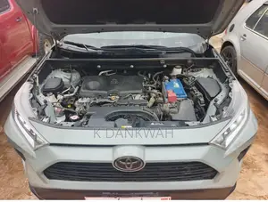 Toyota RAV4 XLE AWD 2020 Green