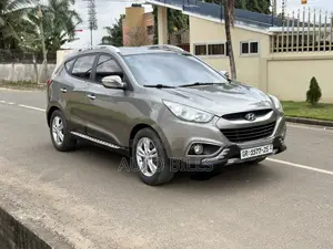 Hyundai Tucson 2013 Gray