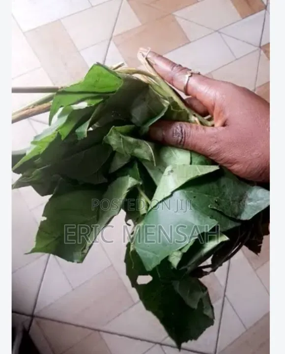 Herbal Herbs