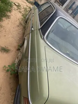 Mercedes-Benz W123 1985 Green