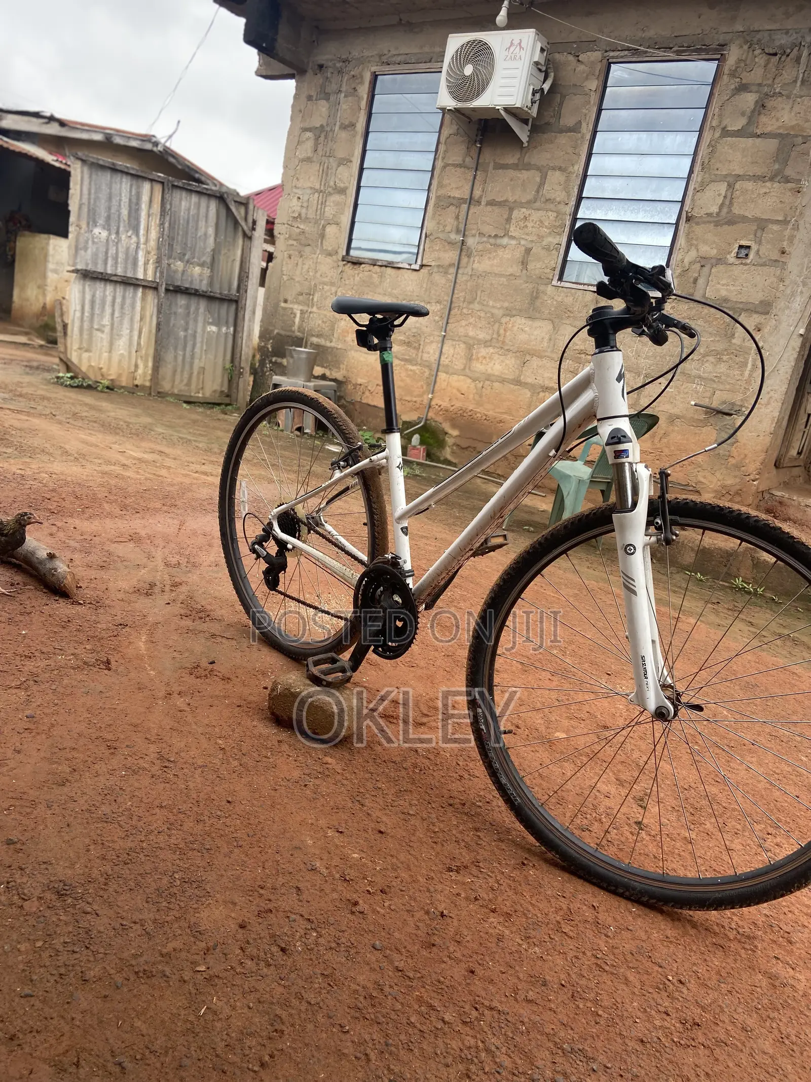 Mountain Bike