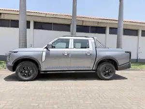 New Nissan Z9 2.3T Diesel 4WD 2025 Gray