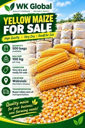 Maize for Sale
