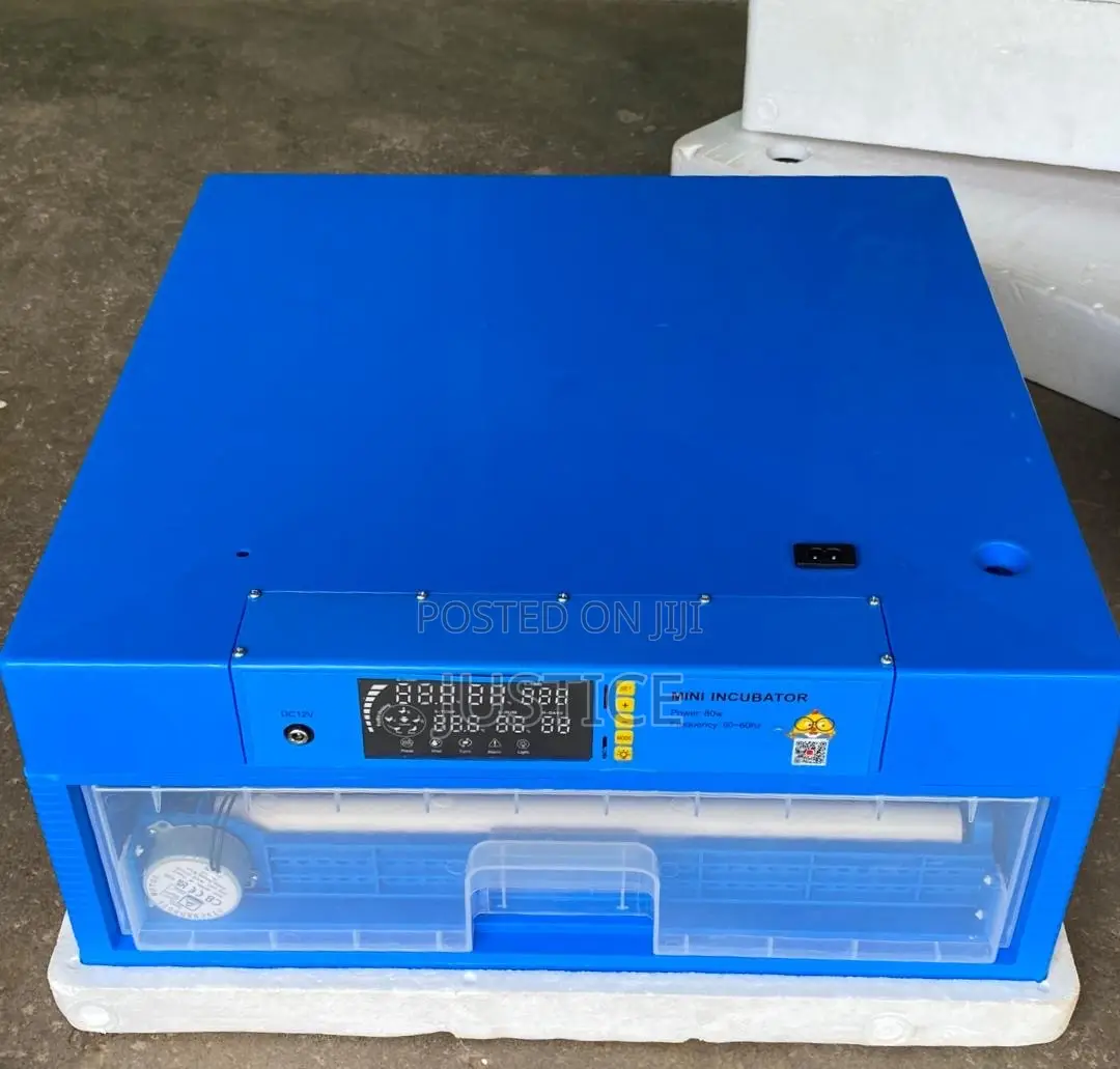 Eggs Incubator
