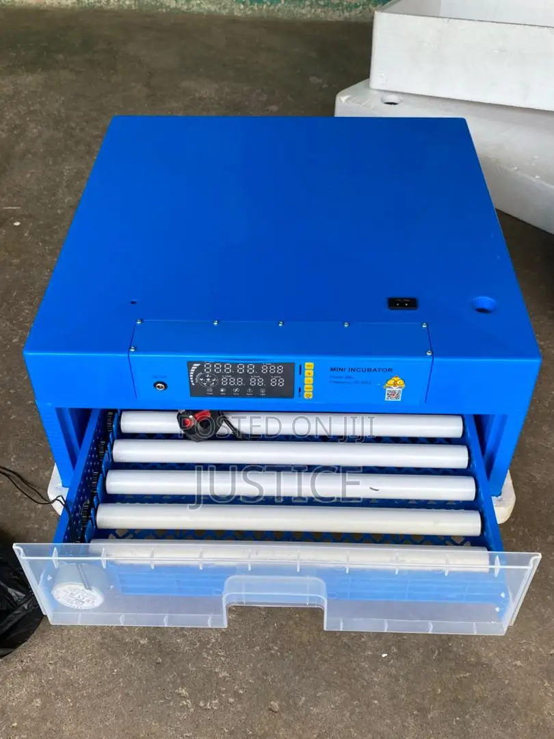 Eggs Incubator