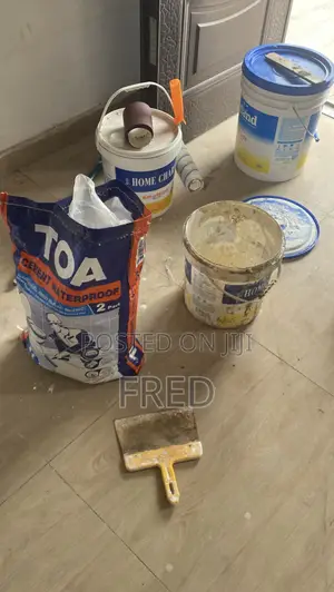 Painter / Designer/ Decorator