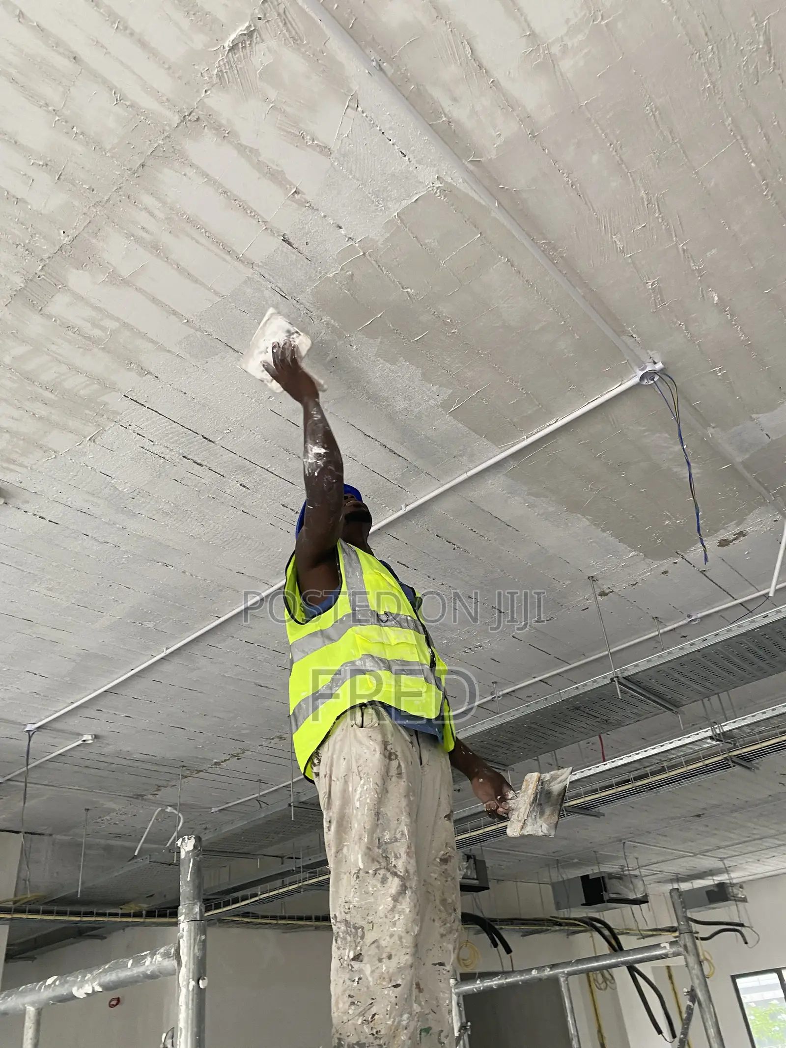 Painter / Designer/ Decorator