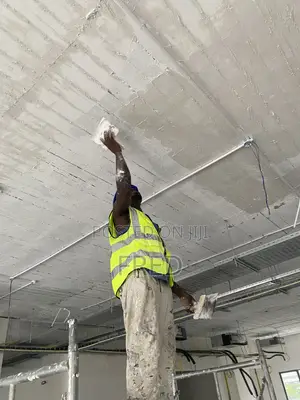 Painter / Designer/ Decorator