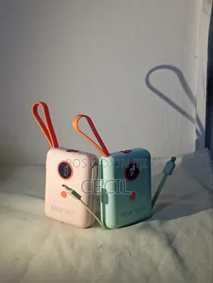 Portable Robust Power Bank