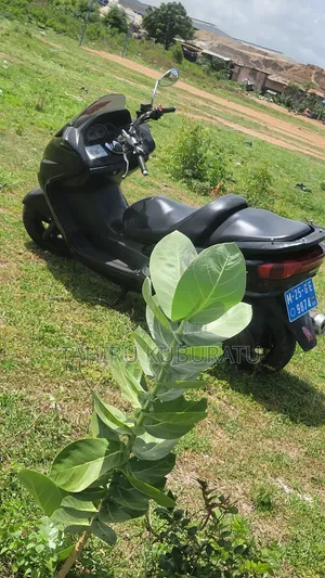 Yamaha Majesty 2024 Black
