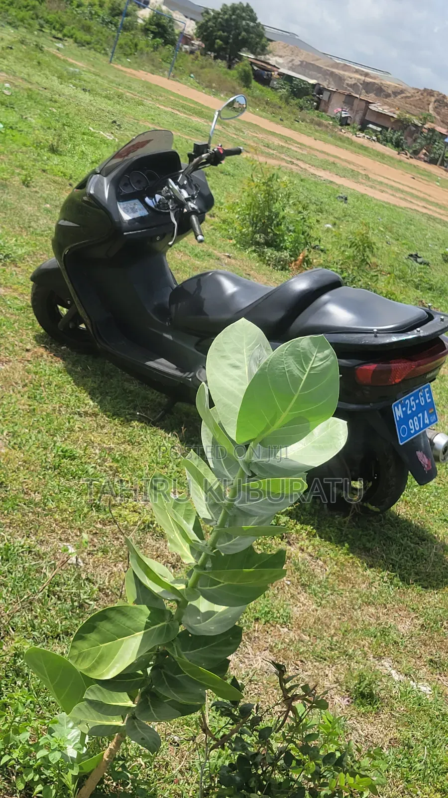 Yamaha Majesty 2024 Black