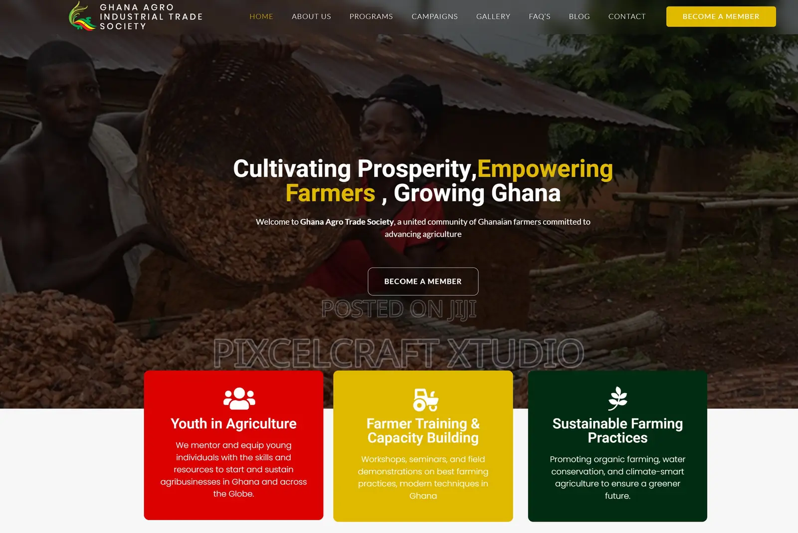 Website Development