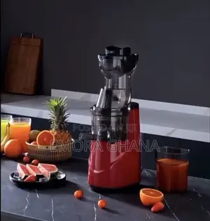 Slow Cold-Press Juicer