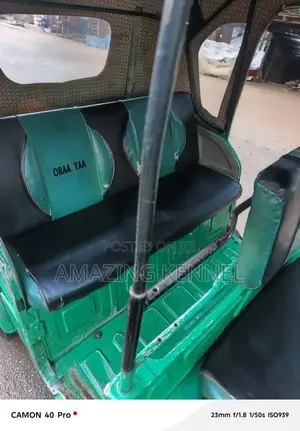 Bajaj RE 2024 Green