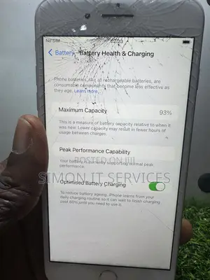 Apple iPhone 8 Plus 256 GB Gray
