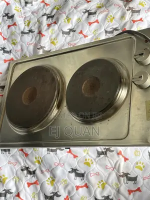Two-Burner Electric Hot Plate / Electric Cooker.