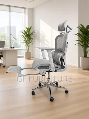 Ergonomic Office Chair for Long Sitting