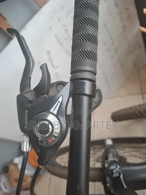 Mountain Bicycle