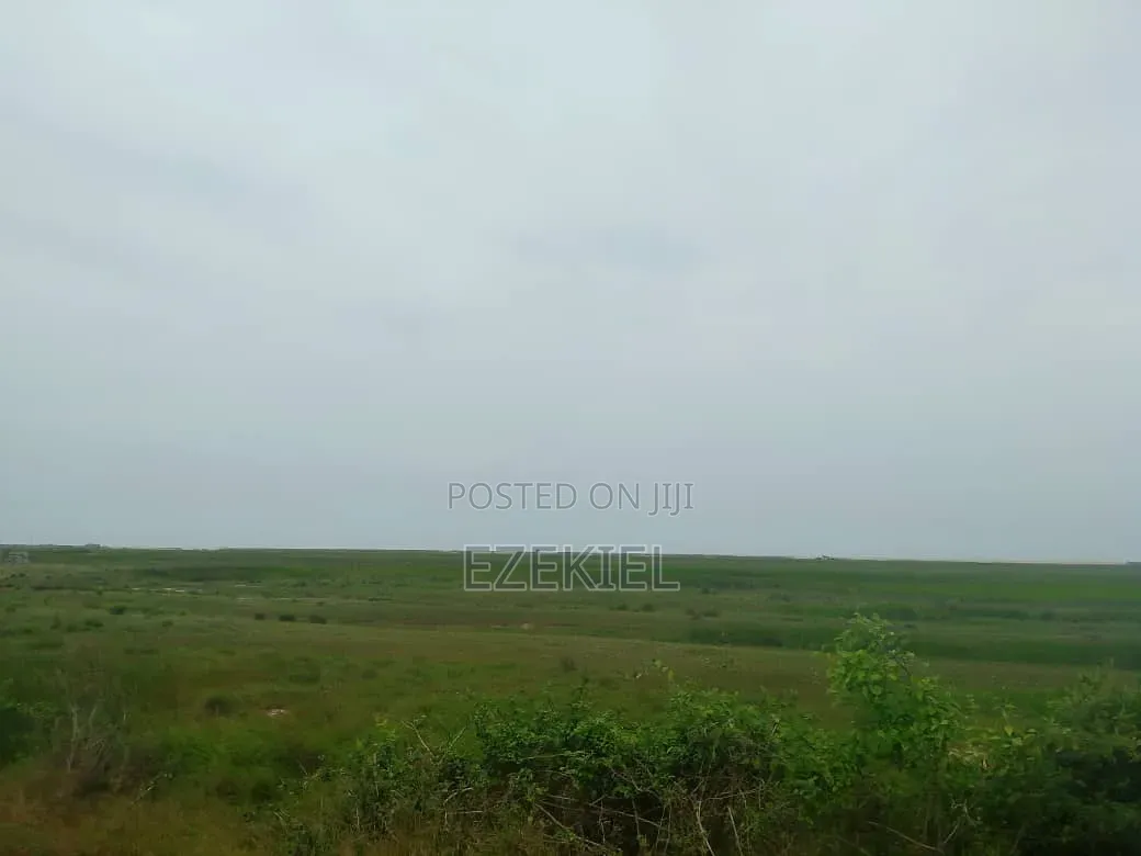 Land 4 Sale