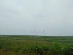 Land 4 Sale
