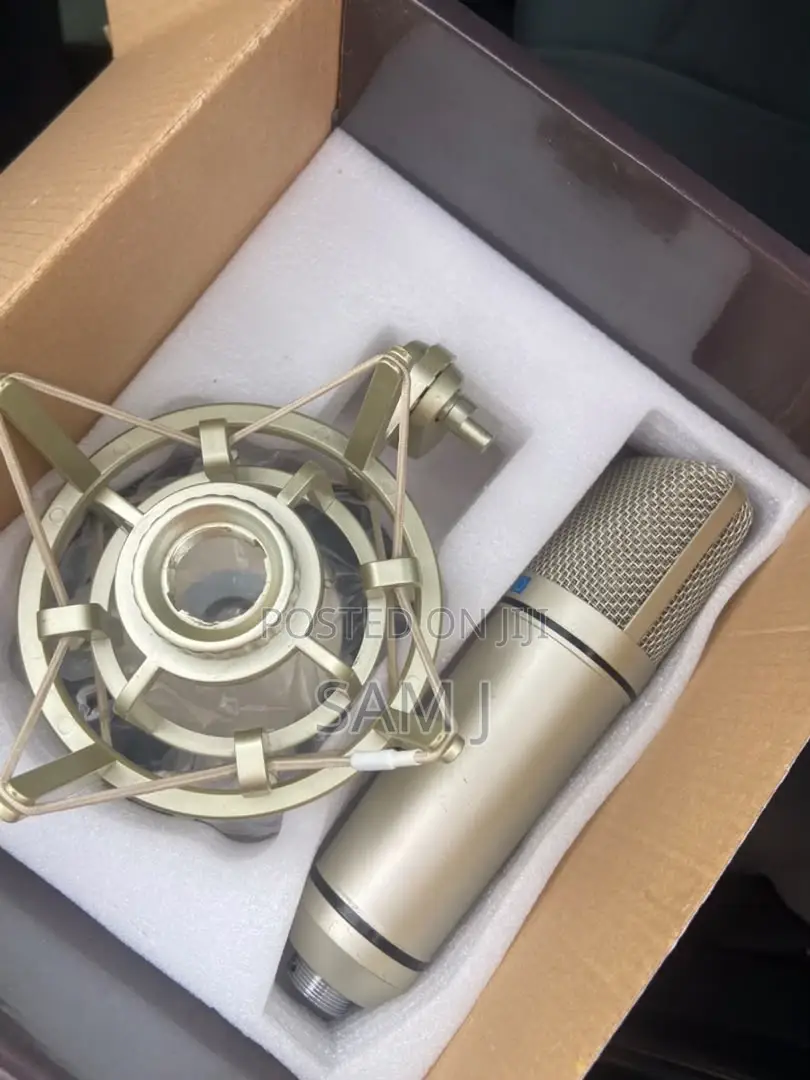 Tascam Condensor Microphone