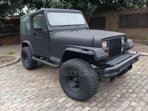 Jeep Wrangler Base 4x4 1993 Black