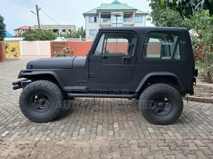 Jeep Wrangler Base 4x4 1993 Black