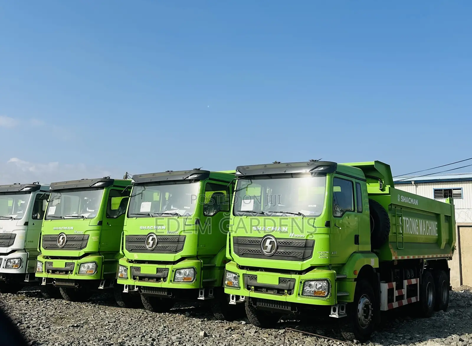 Brand New Shacman Tippers for Sale
