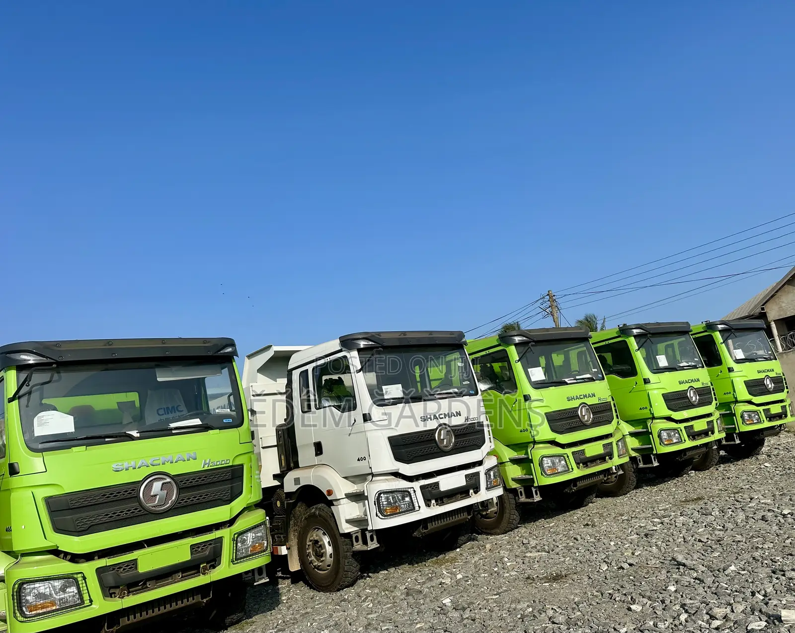 Brand New Shacman Tippers for Sale