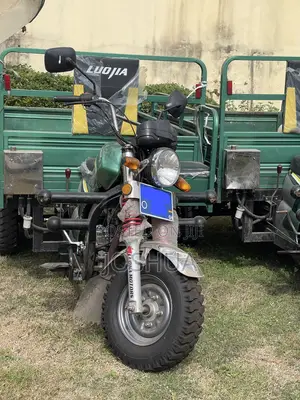 Luojia Motorized Tricycle 2026 Green