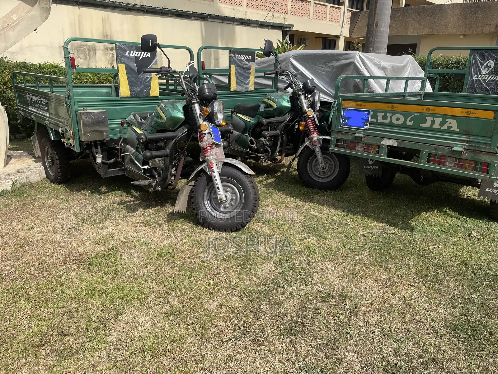 Luojia Motorized Tricycle 2026 Green