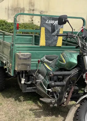 Luojia Motorized Tricycle 2026 Green