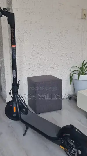Segway Ninebot Electric Scooter