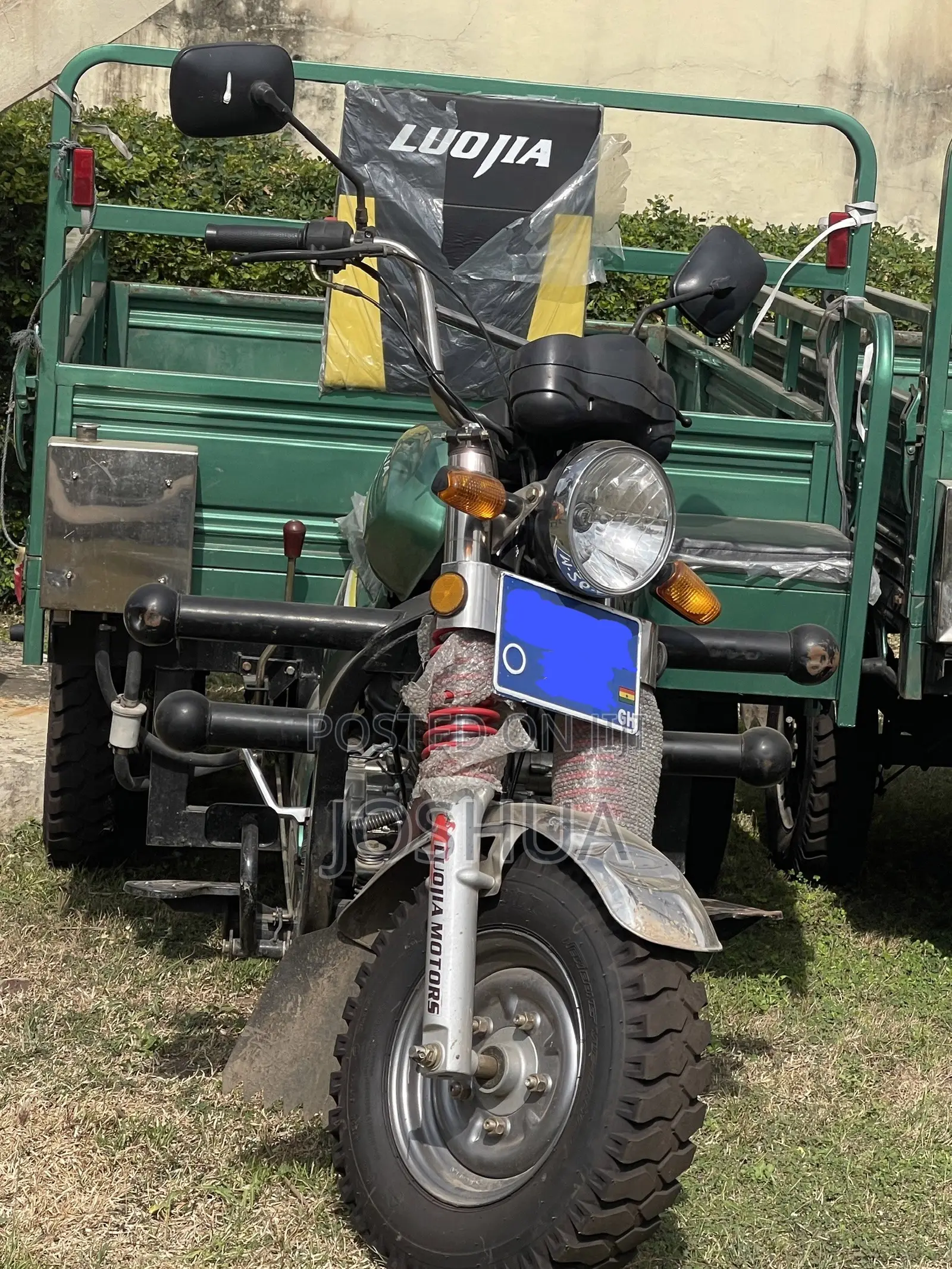Luojia Motorized Tricycle 2026 Green