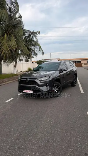 Toyota RAV4 XLE 2021 Gray