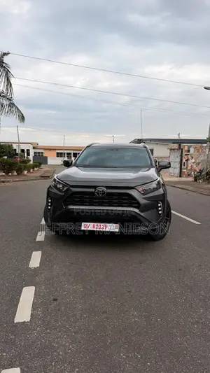 Toyota RAV4 XLE 2021 Gray