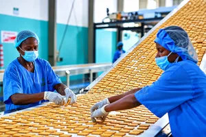Factory Workers Needed