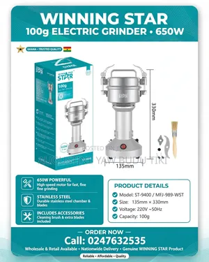 Winning Star 100g Electric Grinder