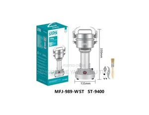 Winning Star 100g Electric Grinder