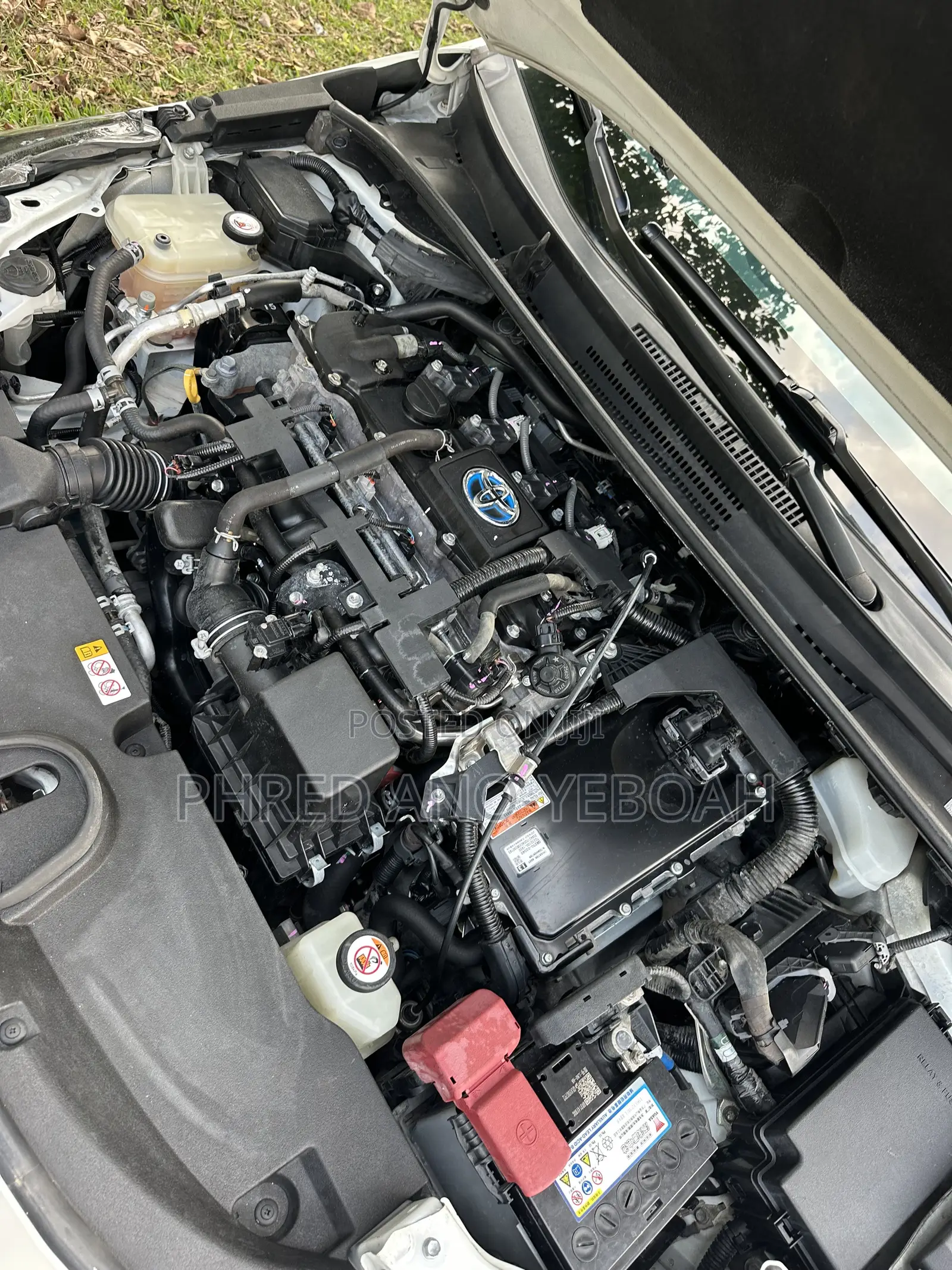 Toyota Corolla SE 2021 White