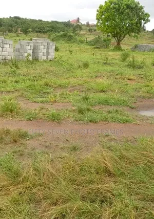 Half Plot of Land