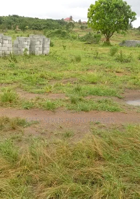 Half Plot of Land