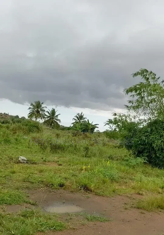 Half Plot of Land