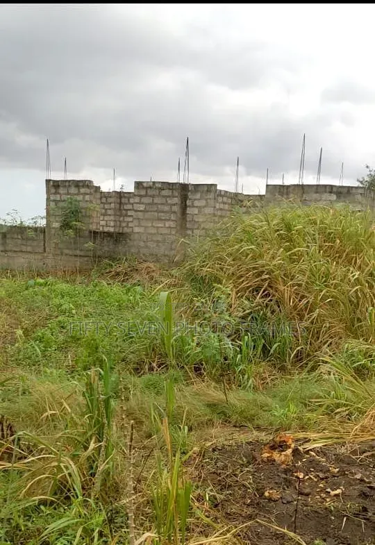 Half Plot of Land